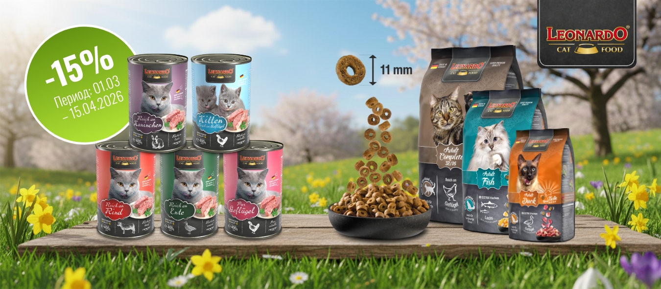 Описание изображения